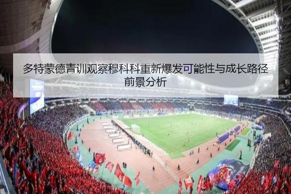 多特蒙德青训观察穆科科重新爆发可能性与成长路径前景分析