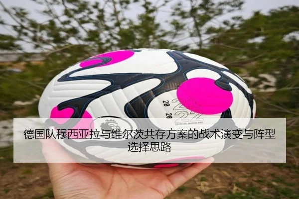 德国队穆西亚拉与维尔茨共存方案的战术演变与阵型选择思路